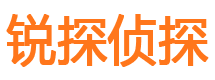 东兴市侦探公司